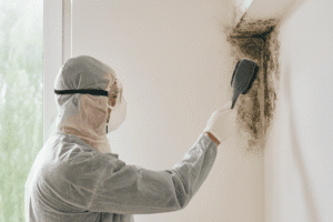 A professional mold remediation specialist wearing protective gear and a respirator cleans a residential wall covered in plastic sheeting inside a bright Pacific Northwest home.